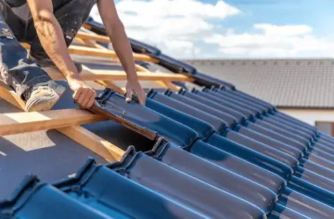 Couverture - Marcollin